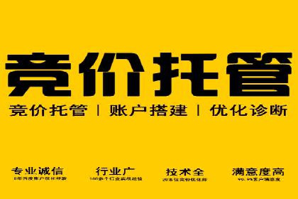 SEM推广案例：电商流量提升策略